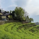 黄山旅游 缩略图 3