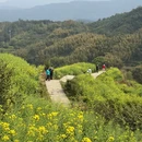 黄山旅游 缩略图 1