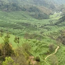 黄山旅游 缩略图 8