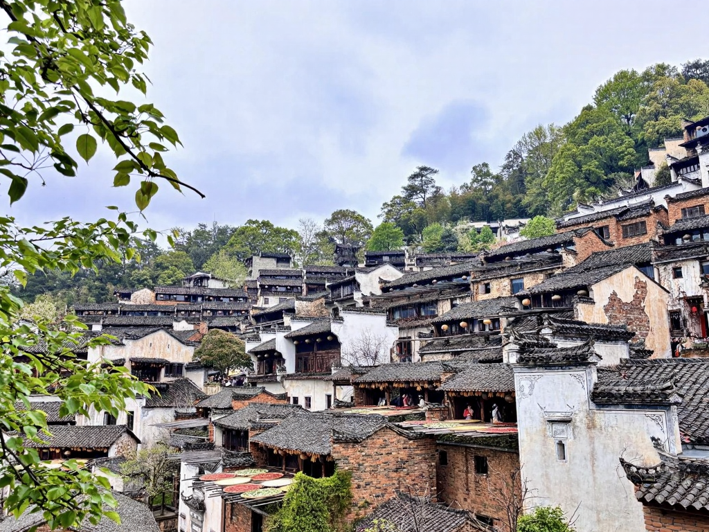 黄山旅游