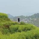 黄山旅游 缩略图 4