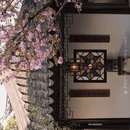苏州旅游 缩略图 16