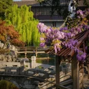 苏州旅游 缩略图 6