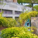 上海旅游 缩略图 1