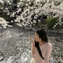 上海旅游 缩略图 3
