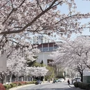 青岛旅游 缩略图 2