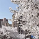 青岛旅游 缩略图 1