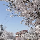 青岛旅游 缩略图 3