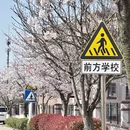 青岛旅游 缩略图 5