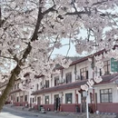 青岛旅游 缩略图 7