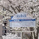 青岛旅游 缩略图 14