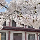 青岛旅游 缩略图 13