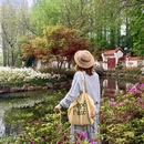 武汉旅游 缩略图 3