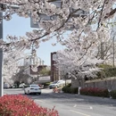 青岛旅游 缩略图 17