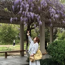 武汉旅游 缩略图 9