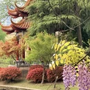 武汉旅游 缩略图 17