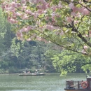 杭州旅游 缩略图 1