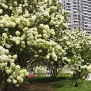 上海旅游 缩略图 18