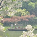 杭州旅游 缩略图 9