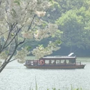杭州旅游 缩略图 5
