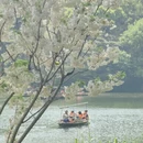 杭州旅游 缩略图 10
