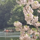 杭州旅游 缩略图 11