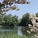 杭州旅游 缩略图 4
