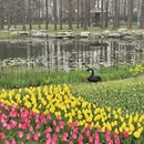 青岛旅游 缩略图 7