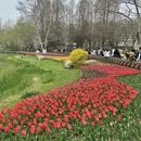 青岛旅游 缩略图 4