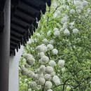南京旅游 缩略图 6