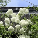 南京旅游 缩略图 1