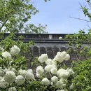 南京旅游 缩略图 5