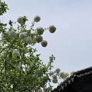 南京旅游 缩略图 10