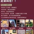 南京旅游 缩略图 7
