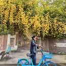 南京旅游 缩略图 6