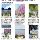 南京旅游 缩略图 4