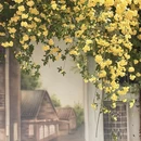 南京旅游 缩略图 8