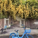 南京旅游 缩略图 2