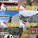 南京旅游 缩略图 7