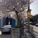 三亚旅游 缩略图 3