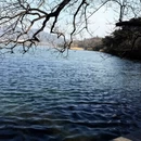南京旅游 缩略图 13