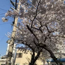 三亚旅游 缩略图 10