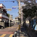三亚旅游 缩略图 16
