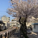 三亚旅游 缩略图 12