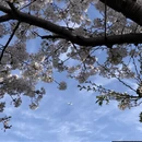 三亚旅游 缩略图 18