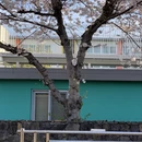 三亚旅游 缩略图 14
