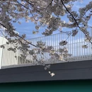 三亚旅游 缩略图 17