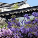 苏州旅游 缩略图 8