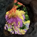 苏州旅游 缩略图 4