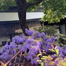 苏州旅游 缩略图 5